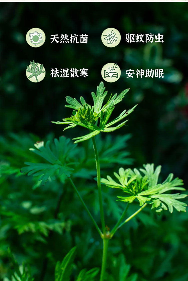 艾草竹草系列