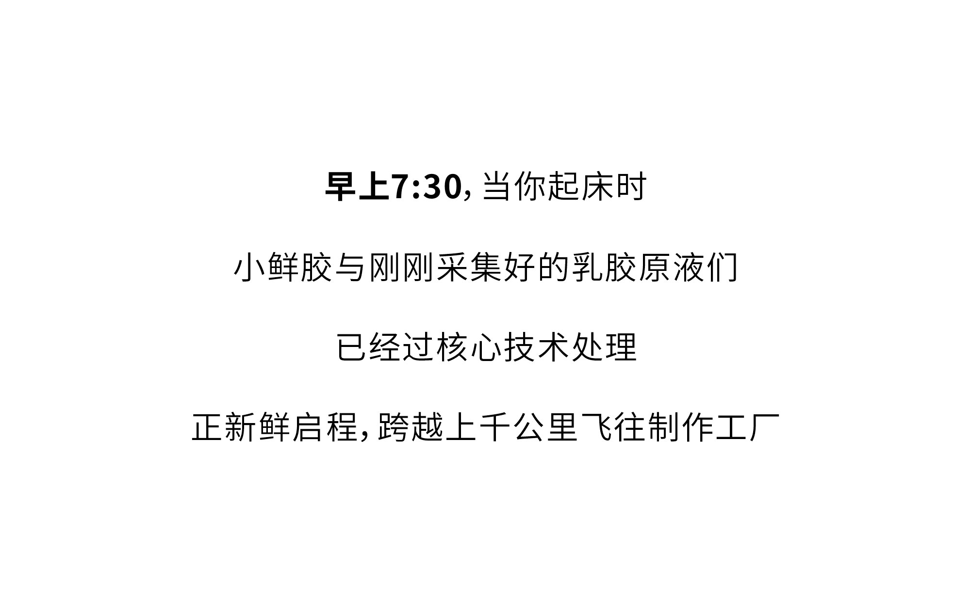 欢迎和小鲜胶一起，每天睡好觉！